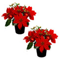 Caliko Pk2 Christmas Artificial Flowers for Graves | Bauble and Poinsettia | Cemetery Artificial Grave Flower Pots | Durable Grave Pot for Floral Arrangement Decorations