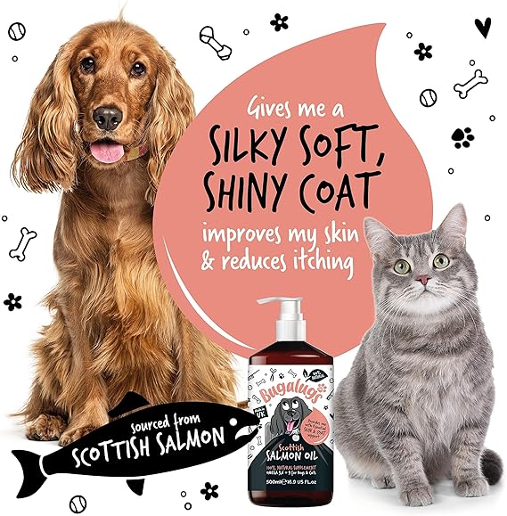 Bugalugs Scottish Salmon Oil For Dogs & Cats, Supplement Supports Dog Skin And Coat, Itchy Skin & A Moulting Dog, Omega 3 Fish Oil Perfect For Grooming & Dog Food (500ml)